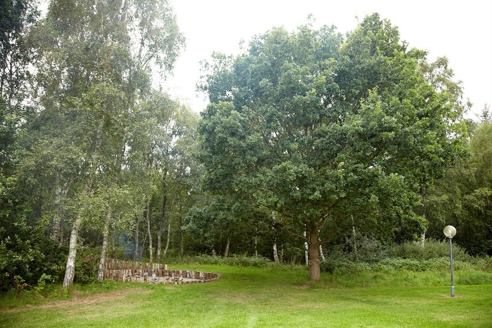 Kysthotellet Grenå المظهر الخارجي الصورة